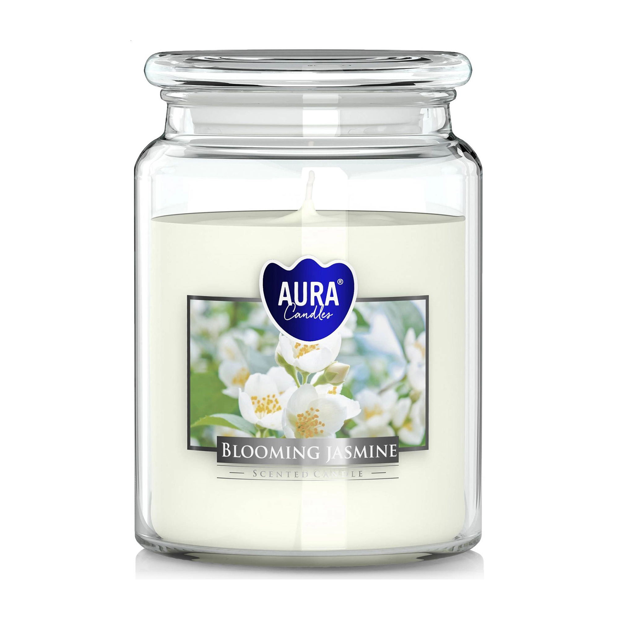 Ароматична свічка в банці Bispol Scented Candle Aura Blooming Jasmine, 500 г (snd99-169)
